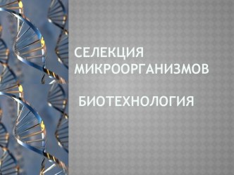 Селекция микроорганизмов. Биотехнология