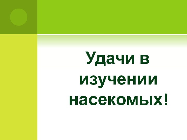 Удачи в изучении насекомых!