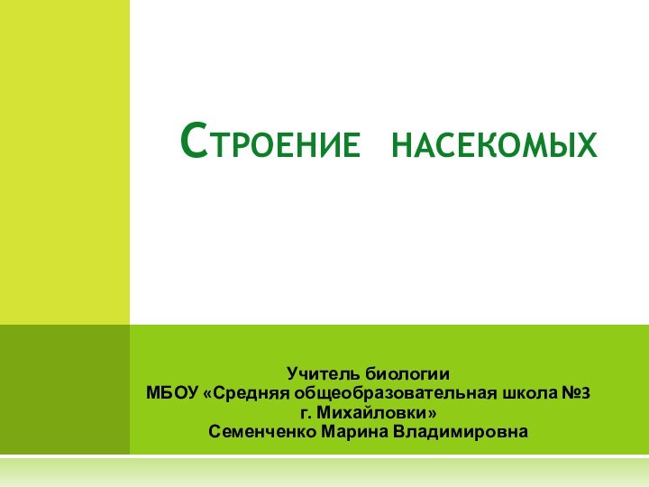 Учитель биологии МБОУ «Средняя общеобразовательная школа №3 г. Михайловки» Семенченко Марина ВладимировнаСтроение насекомых