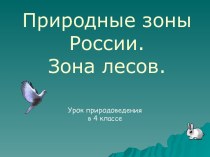 Зона лесов России