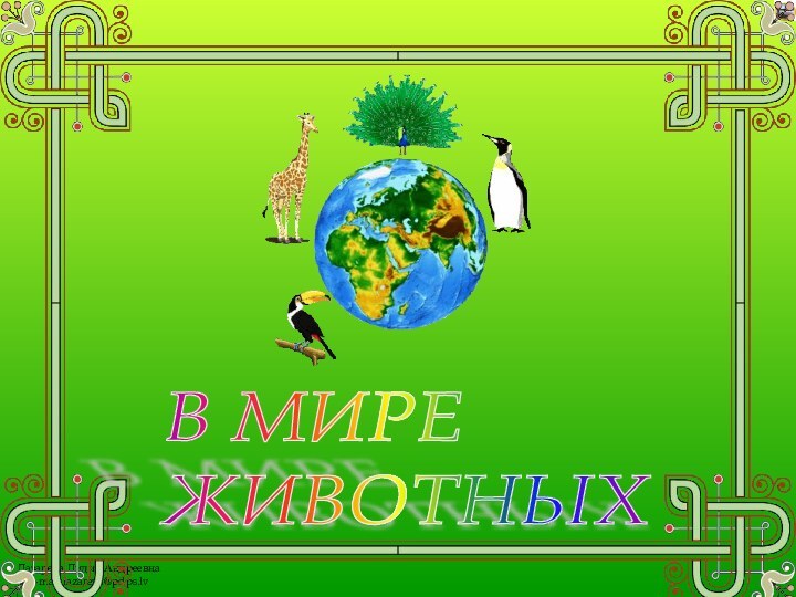 В МИРЕ  ЖИВОТНЫХ