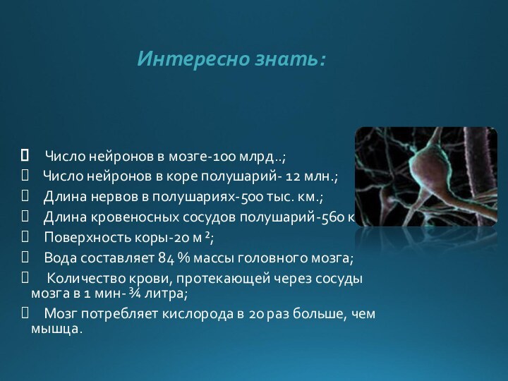 Интересно знать:  Число нейронов в мозге-100 млрд..;  Число нейронов в