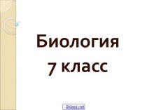 Строение животных