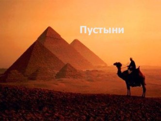 Степи пустыни