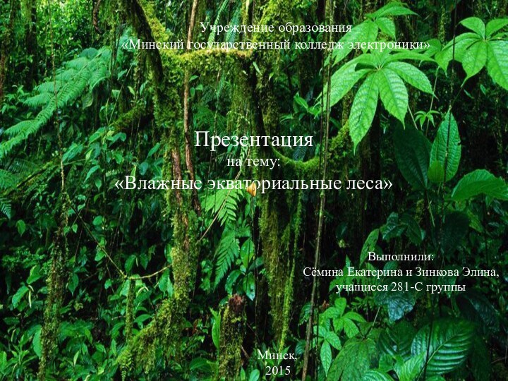 Презентация на тему: «Влажные экваториальные леса»Учреждение образования«Минский государственный колледж электроники»Выполнили:Сёмина Екатерина и