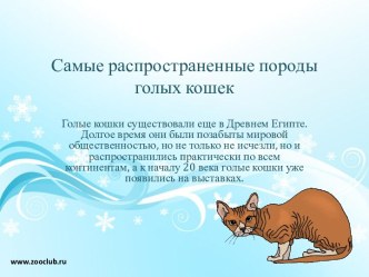 самые распространенные породы голых кошек