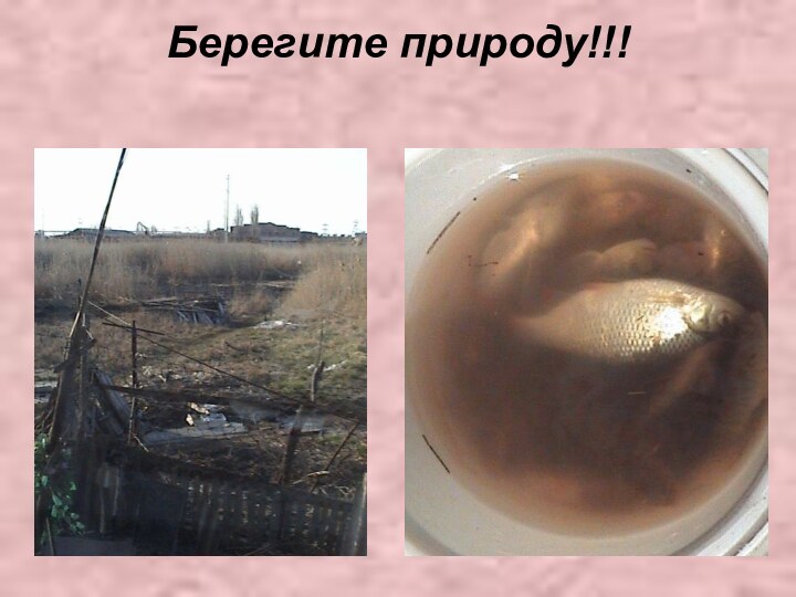 Берегите природу!!!