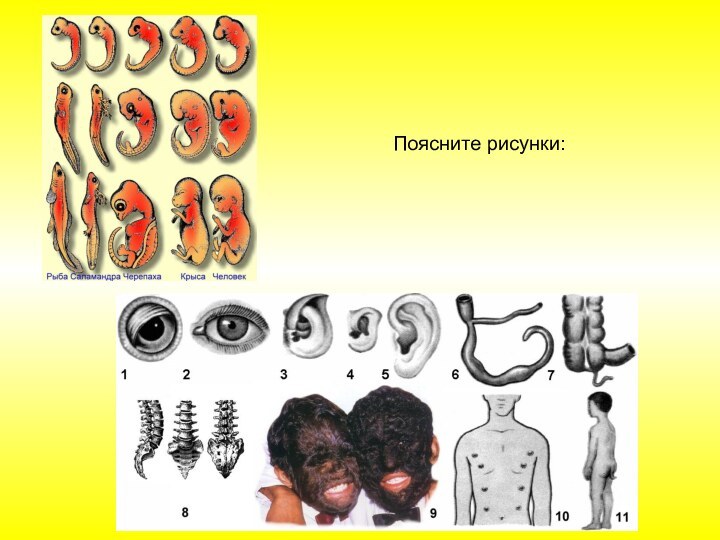 Поясните рисунки: