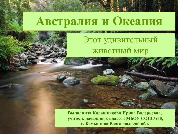 Австралия и ОкеанияЭтот удивительный животный мирВыполнила Калашникова Ирина Валерьевна, учитель начальных классов