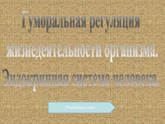 Гуморальная регуляция жизнедеятельности организма. Эндокринная система человека.