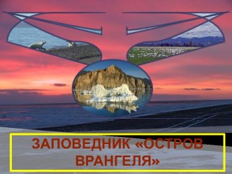 Остров Врангеля