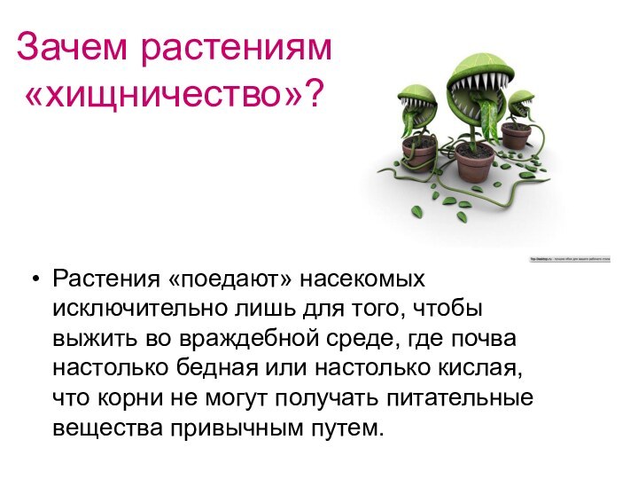 Зачем растениям «хищничество»?Растения «поедают» насекомых исключительно лишь для того, чтобы выжить во