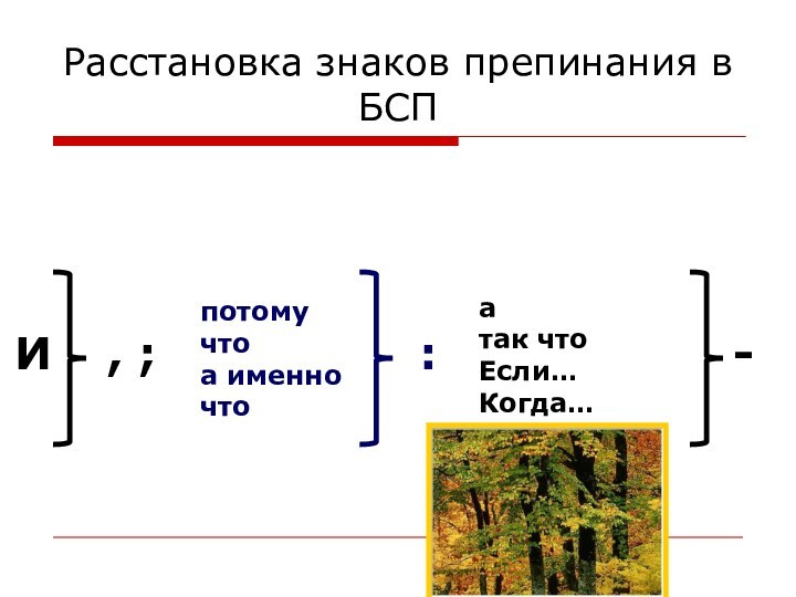 Расставьте знаки препинания полные энтузиазма