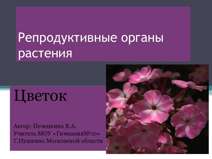 Репродуктивные органы растенияЦветокАвтор: Печенкина В.А.Учитель МОУ «Гимназия№10»Г.Пушкино Московской области