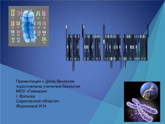 Генетика пола. Наследование, сцепленное с полом