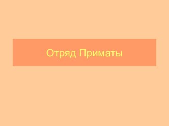 Отряд Приматы