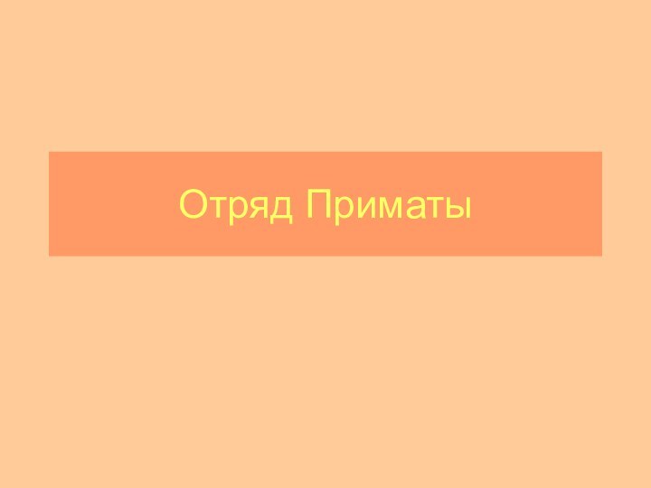 Отряд Приматы