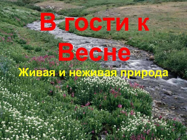 В гости к Весне Живая и неживая природа