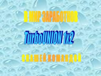 Мини-проект команды Turbounion1x2.