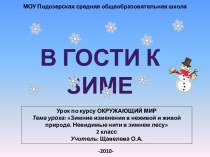 Зимние изменения в неживой и живой природе. Невидимые нити в зимнем лесу