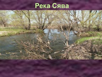 Река Сява