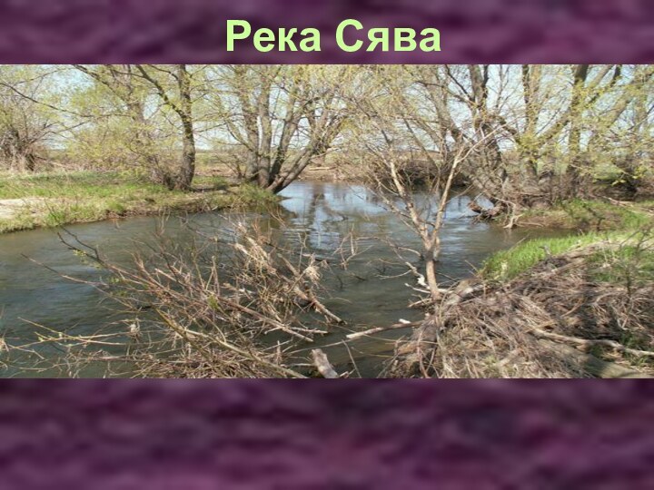 Река Сява   