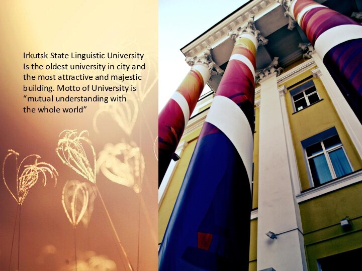 Irkutsk State Linguistic UniversityIs the oldest university in city and the most