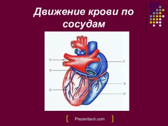 Движение крови по сосудам