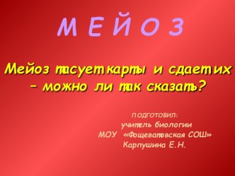 мейоз