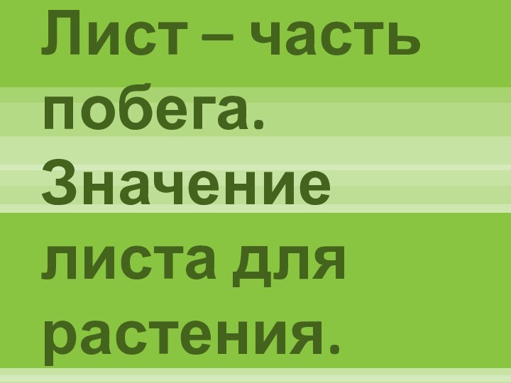 Лист – часть побега. Значение листа для растения.