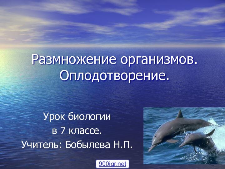 Размножение организмов. Оплодотворение.Урок биологии в 7 классе.Учитель: Бобылева Н.П.