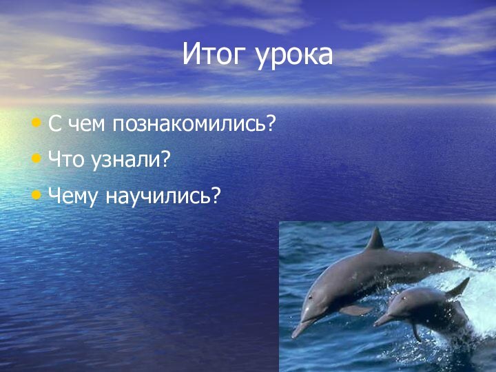 Итог урокаС чем познакомились?Что узнали?Чему научились?