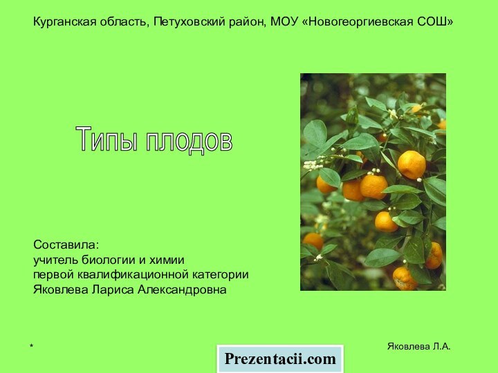 *Яковлева Л.А.Курганская область, Петуховский район, МОУ «Новогеоргиевская СОШ»Типы плодов Составила:учитель биологии и