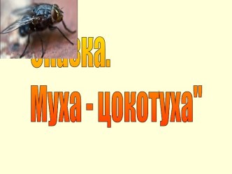 Сказка. Муха - цокотуха