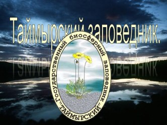 Таймырский заповедник