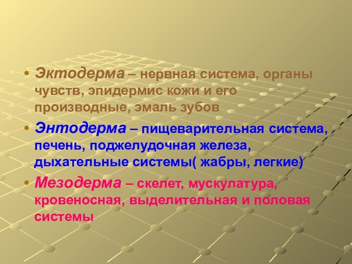 Эктодерма – нервная система, органы чувств, эпидермис кожи и его производные, эмаль