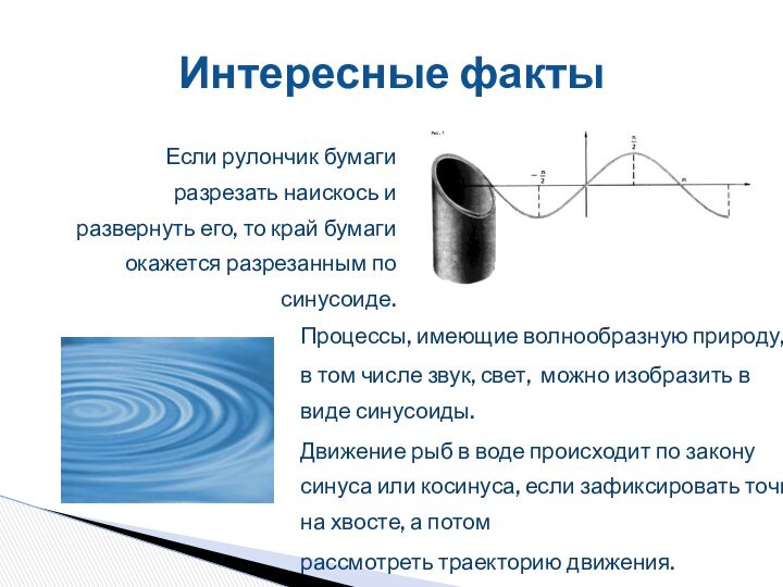 Интересные фактыЕсли рулончик бумаги разрезать наискось и развернуть его, то край бумаги