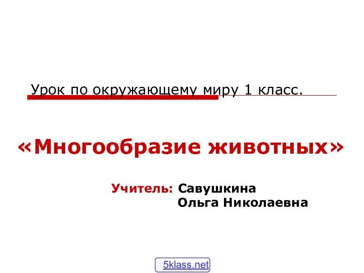 Урок по окружающему миру 1 класс.«Многообразие животных»