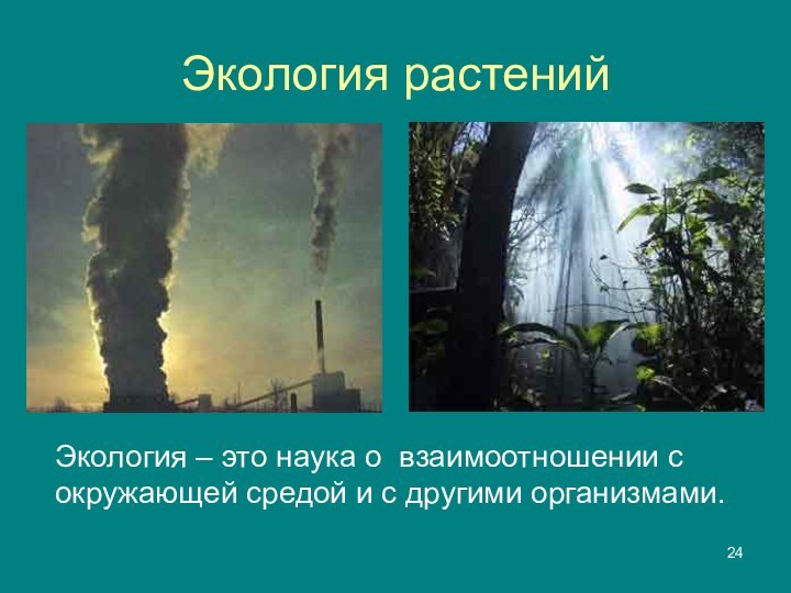 Экология растенийЭкология – это наука о взаимоотношении с окружающей средой и с другими организмами.