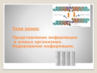 Представление информации в живых организмах. Кодирование информации