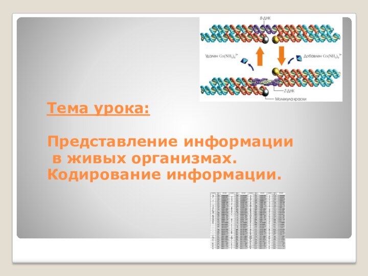 Тема урока:   Представление информации  в живых организмах. Кодирование информации.