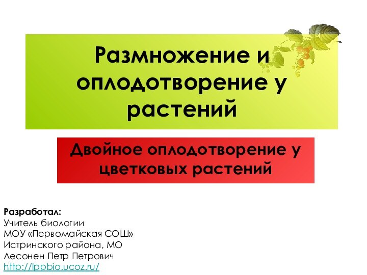 Размножение и оплодотворение у растенийДвойное оплодотворение у цветковых растенийРазработал:Учитель биологии МОУ «Первомайская