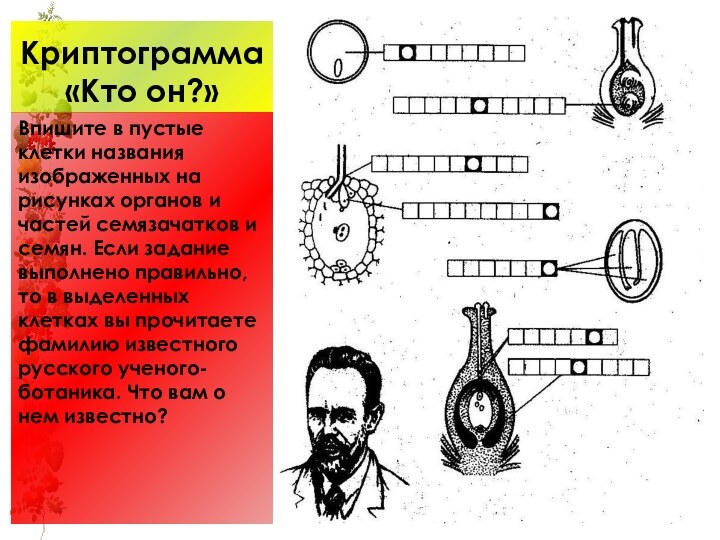 Криптограмма «Кто он?»Впишите в пустые клетки названия изображенных на рисунках органов и