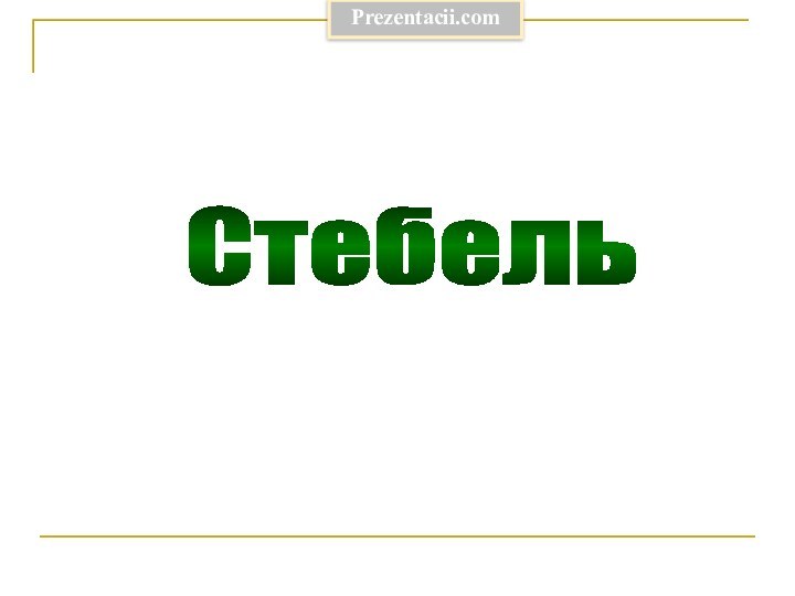 Стебель Prezentacii.com