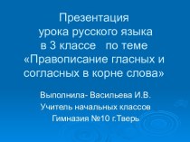 Правописание гласных и согласных в корне слова