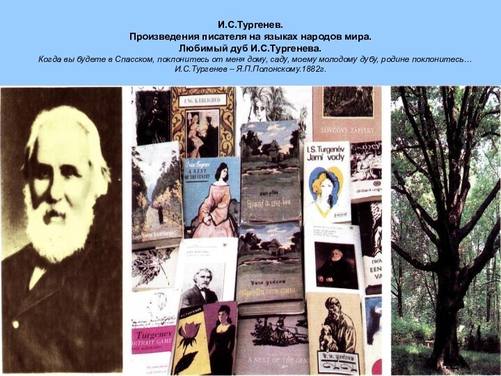 И.С.Тургенев. Произведения писателя на языках народов мира. Любимый дуб И.С.Тургенева.