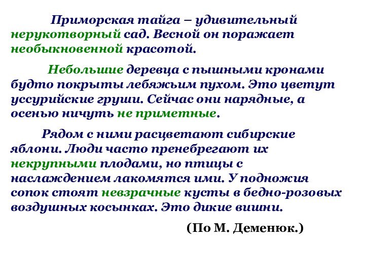 Приморская тайга – удивительный нерукотворный