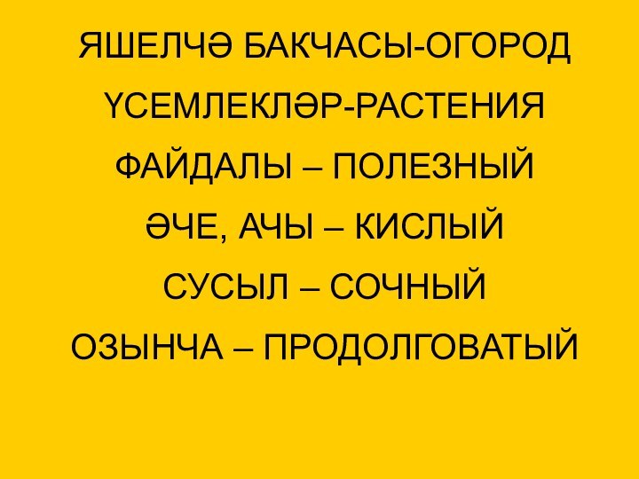 ЯШЕЛЧӘ БАКЧАСЫ-ОГОРОДҮСЕМЛЕКЛӘР-РАСТЕНИЯФАЙДАЛЫ – ПОЛЕЗНЫЙӘЧЕ, АЧЫ – КИСЛЫЙСУСЫЛ – СОЧНЫЙОЗЫНЧА – ПРОДОЛГОВАТЫЙ