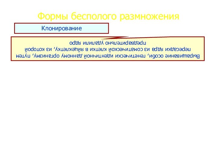 Формы бесполого размноженияКлонирование Выращивание особи, генетически идентичной данному организму, путем пересадки ядра