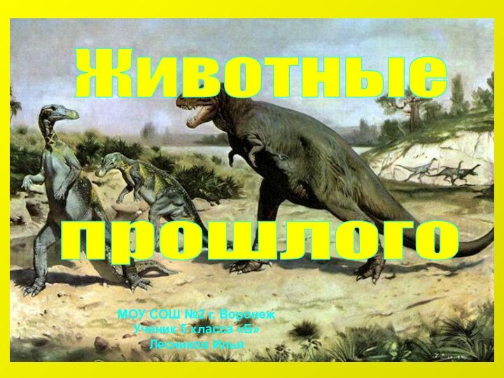 МОУ СОШ №2 г. Воронеж Ученик 5 класса «Б»Лесников ИльяЖивотные прошлого